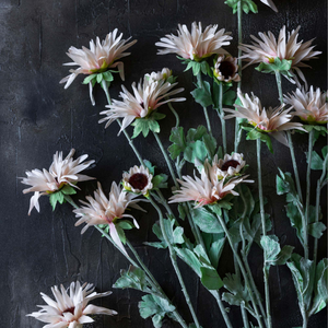 Artificial Chrysanthemum, Blush