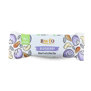 Organic Blueberry - Raw Fruit and Nut Bar 40g