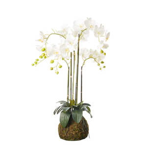 Faux Planted Phalaenopsis Orchid, Medium