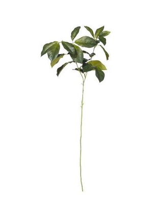 Faux Laurel Leaves Stem