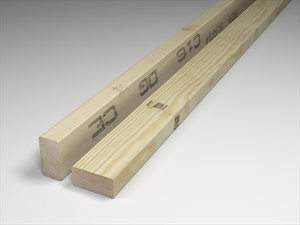 100 x 47mm (4 x 2) C16 Graded PAR Eased Edge Treated Timber
