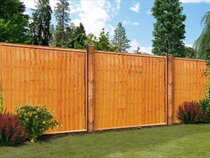 Closeboard Fence Panel (6ft x 5ft)