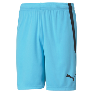 Puma Team Liga GK Shorts - Blue/Blk - L