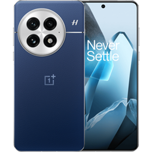 OnePlus 13
