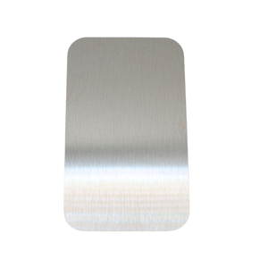 Self Adhesive Blank Escutcheon 100 x 60 mm Satin Stainless Steel