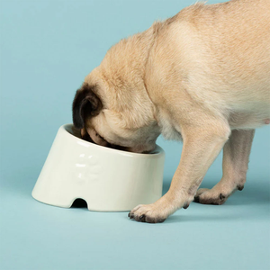 SCRUFFS Icon Flat Faced Pet Bowl, Cream