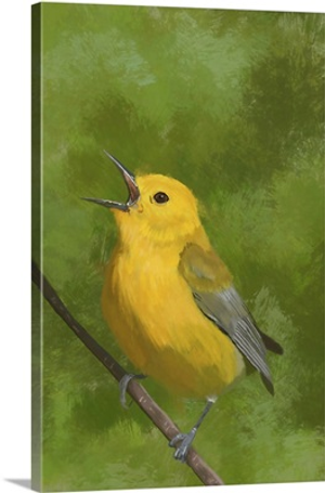 Prothonotary Warbler