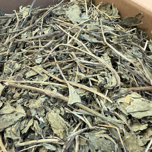 Echinacea 3kg Box