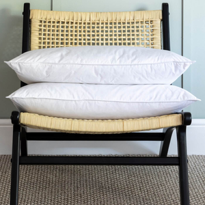 Duck Feather & Down Pillow & Soft Touch Protector Bundles