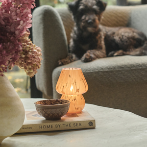 Cady Portable Table Lamp, Apricot