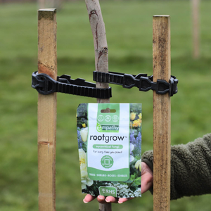 Mature Tree Planting Kit | Tall Stakes, Supersoft Ties & RootgrowTM