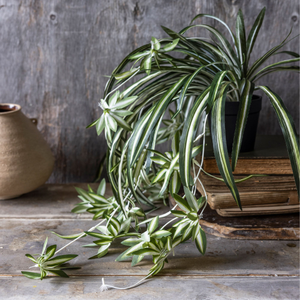 Artificial Spider Plant