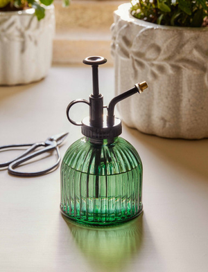 Classic Mister - Glass, Thistle Green