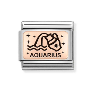Classic Rose Gold Aquarius Charm