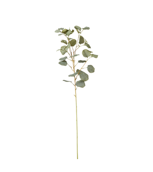 Faux Single Eucalyptus Stem