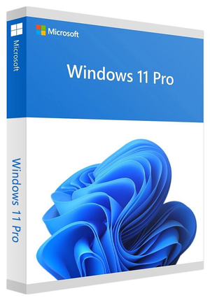 Windows 11 Professional