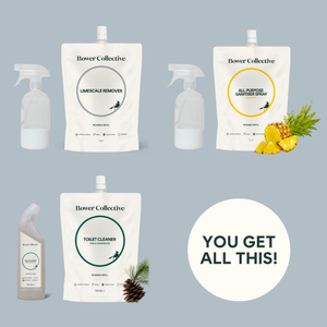 Everyday Shine Starter Kit