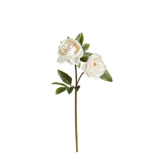 Faux Double Peony Stem