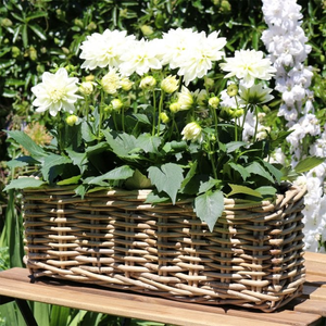 Grey & Buff Rattan Window Box Wicker Planter - 45cm