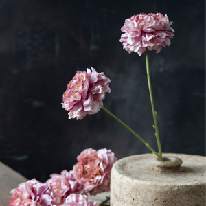Artificial Carnation, Blush