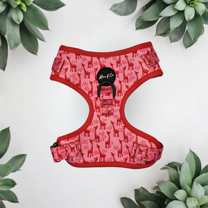 Alice & Co - Harness - Safari