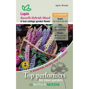 Lupins <i>Russell Hybrids Mix</i>