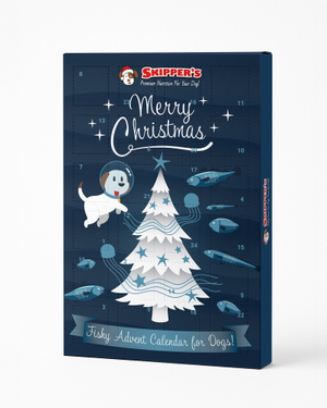 Christmas Advent Calendar