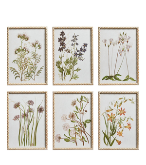 Set of Six Floral Prints