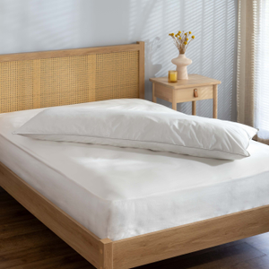 Soft As Down Body Pillow & Pillowcase