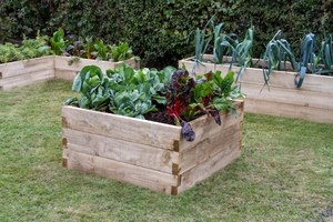 Caledonian Square Raised Bed 90 x 90cm  FSC® certified