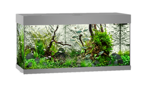 Juwel LED Rio 180 Grey (Tank Only)