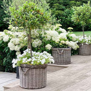 Grey & Buff Rattan Round Wicker Planter With Rope Handles