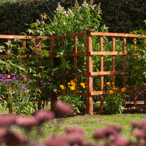 Rowlinson 6x2 Heavy Duty Trellis Dip Treated