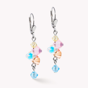 Elegance Crystals Earrings Multicoloured