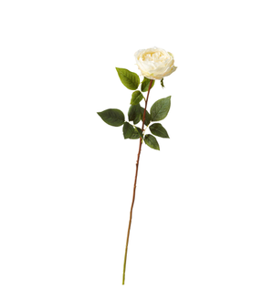 Faux Juno Old Fashioned Rose Stem