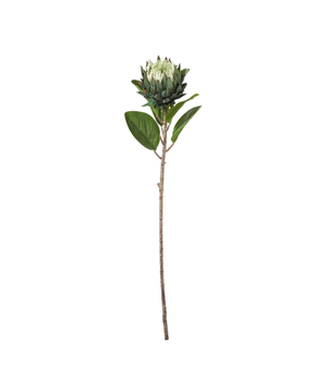 Faux Protea Stem