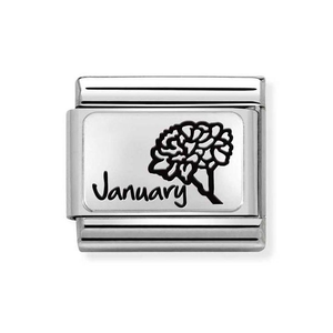 Classic Silver January Carnation Flower Charm