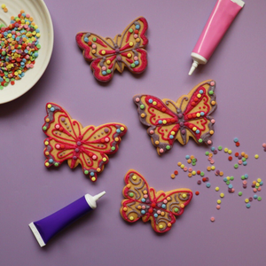DIY Butterfly Letterbox Kit