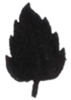 Écusson thermocollant feuille noire