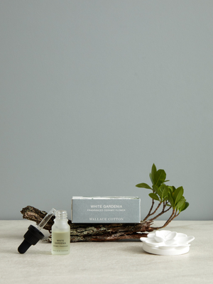 White Gardenia Ceramic Flower & Dripper Bottle 10ml