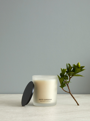 White Gardenia Candle 300g