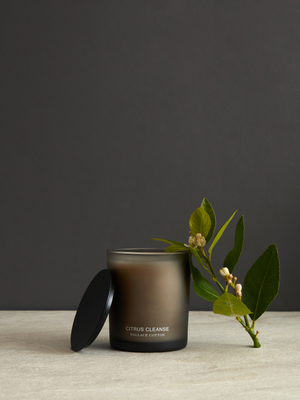 Citrus Cleanse Candle 300g