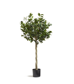 Large Faux Bay Tree