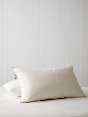 Downtime Duck Standard Pillow Inner
