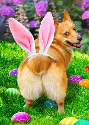Cute Dog Wearing Bunny Ears On It's Bum Easter Card