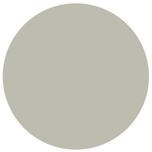 RailMatch 2206 Rail Grey 18ml Acrylic Paint