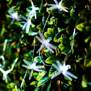 20 Dragonfly Solar String Lights