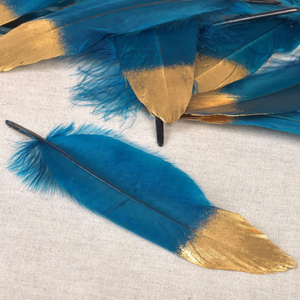 Set de 10 plumes finition dorée - Bleu