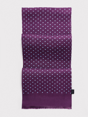 Purple & Sky Birkin Silk Scarf