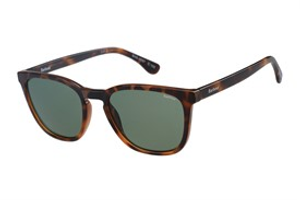 Barbour Sunglasses Tort Green